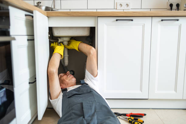 Best Local Plumber Services  in Grifton, NC