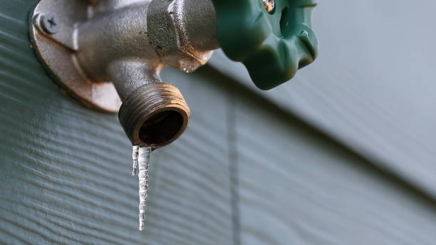 Best Sewer Line Repair  in Grifton, NC